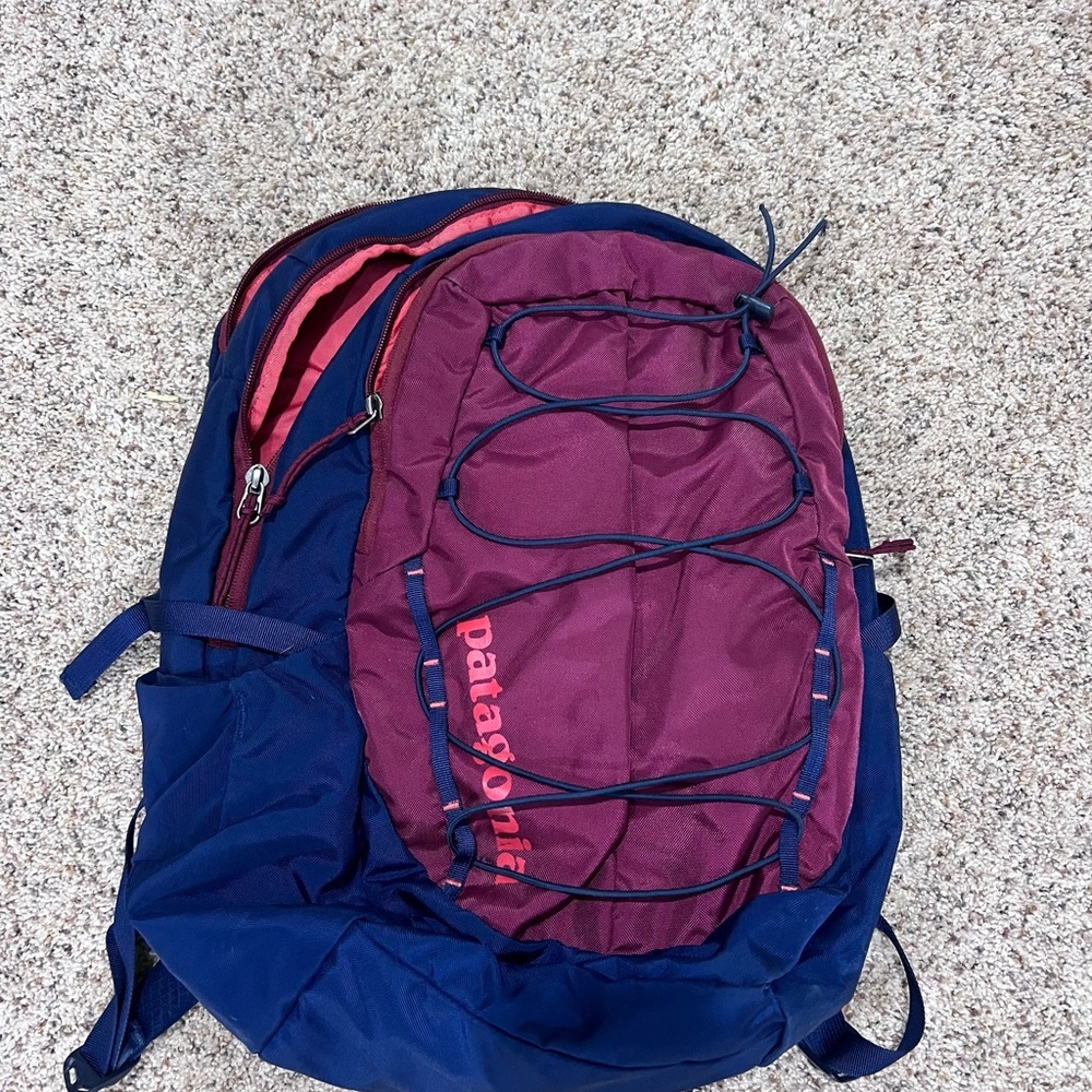 Patagonia Navy and Burgundy Backpack